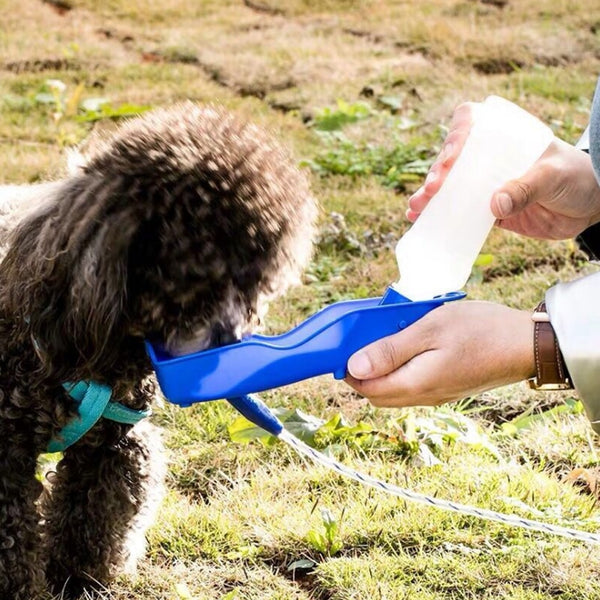 Gourde pour chien avec bouteille