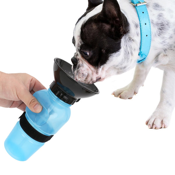 Gourde pour chien 500ml