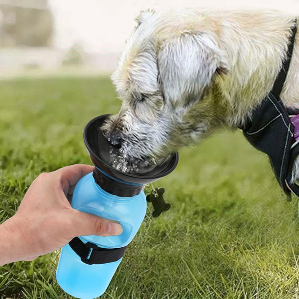 Gourde pour chien 500ml